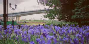 Rostov-on-Don